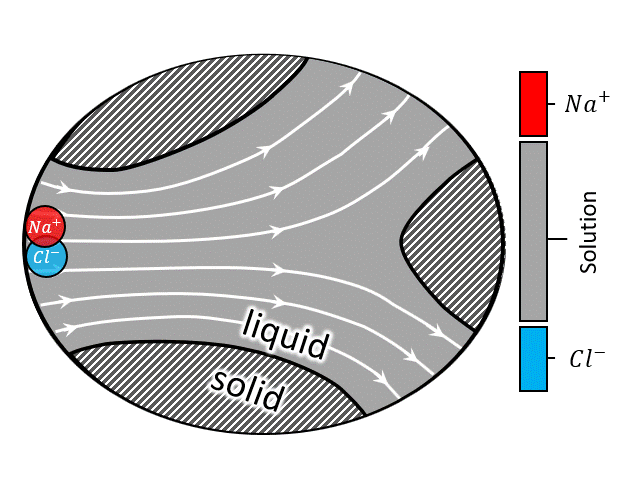 Inactive solute transport
